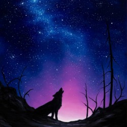starry night canvas.3